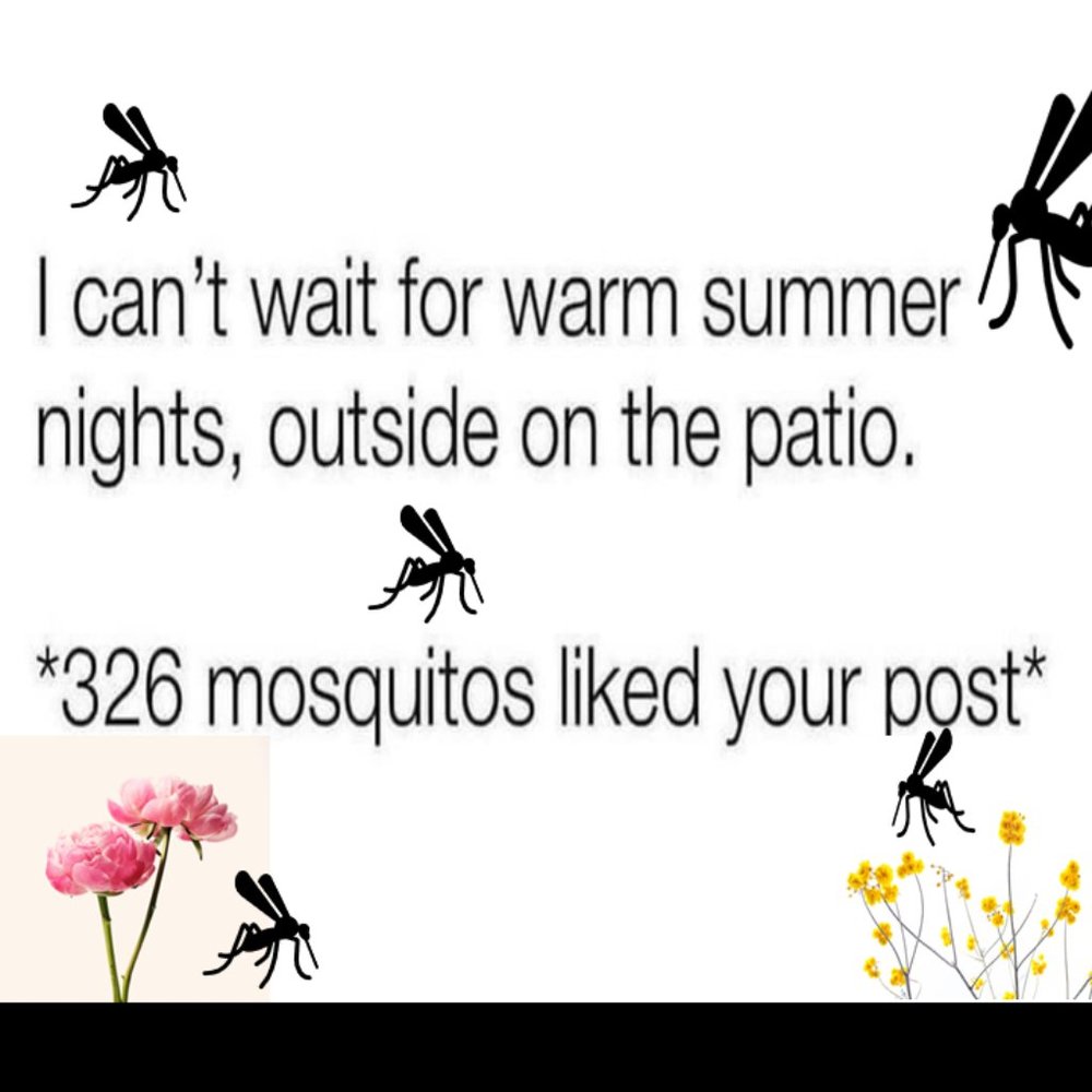 Get BITTEN by the SHOPPING BUG @foresttreasures ! 🦟 🦟